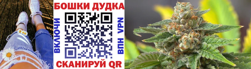 Шишки марихуана Amnesia  Купить где  Городище 